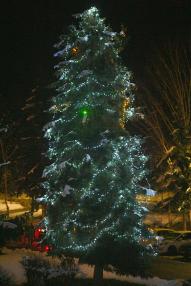 Rozsvietený vianočný strom Rozsvietený vianočný strom